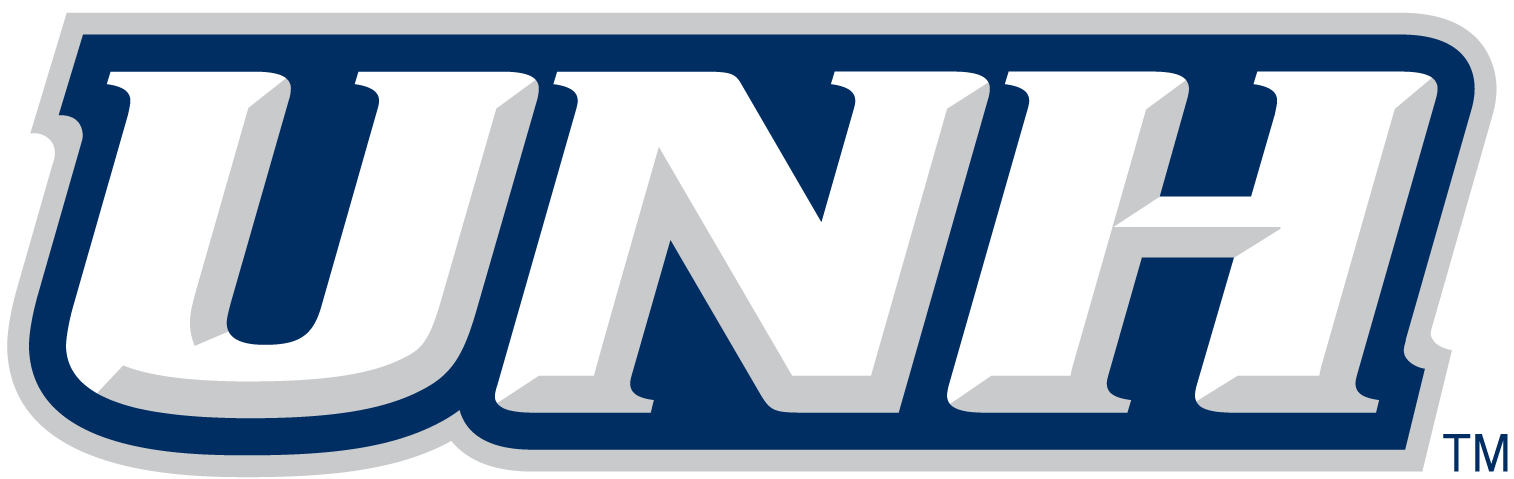 New Hampshire Wildcats 2000-Pres Wordmark Logo v3 diy iron on heat transfer